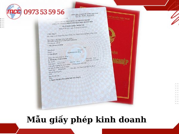 thành lập công ty TNHH 2 thành viên