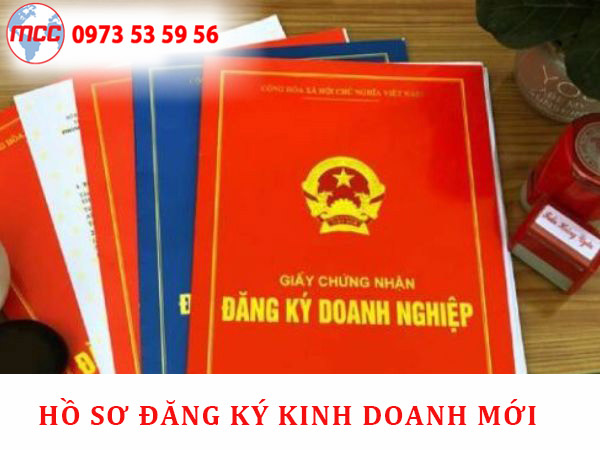cấp mới giấy phép kinh doanh