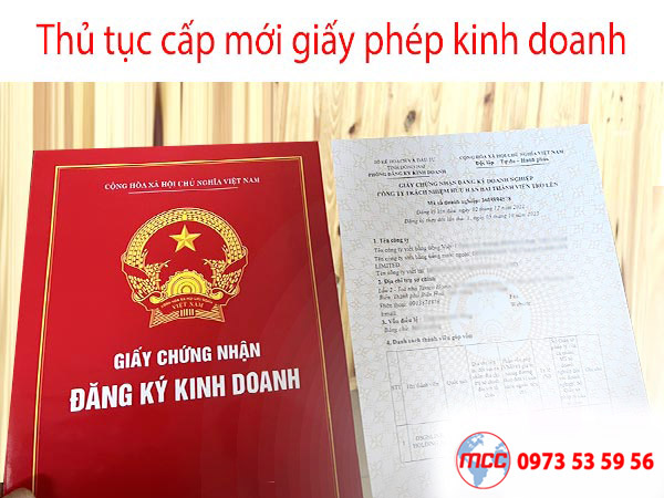 cấp mới giấy phép kinh doanh