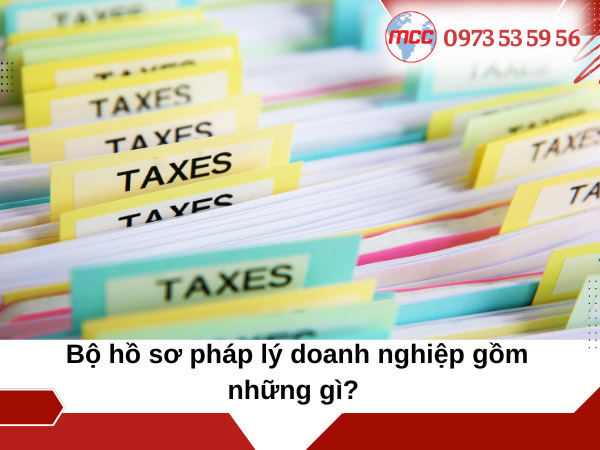 Hồ sơ cần chuẩn bị khi thanh tra thuế gồm những gì?