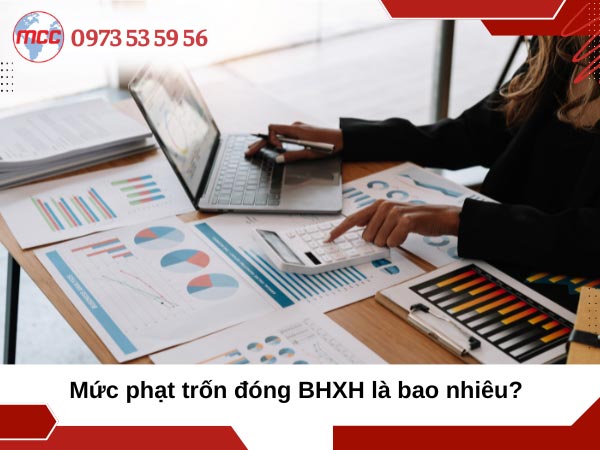trốn đóng bảo hiểm xã hội bắt buộc