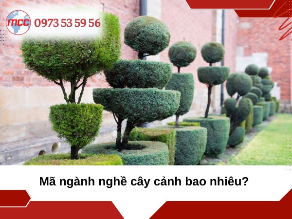 đăng ký kinh doanh cây cảnh