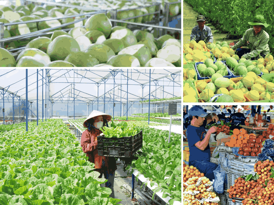 giấy phép kinh doanh nông sản