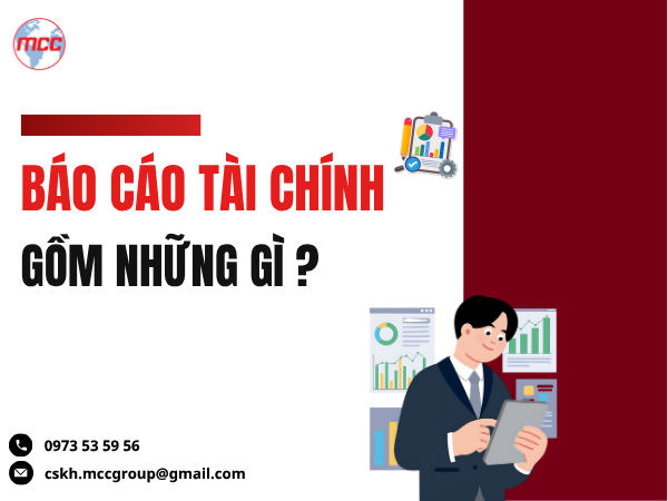báo cáo tài chính